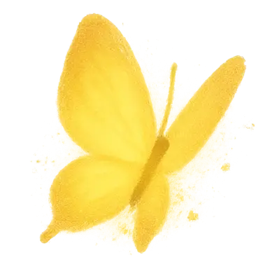 Mariposa decorativa